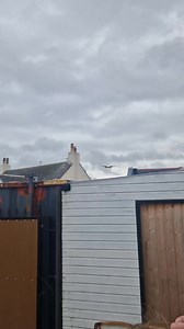 264K views · 485 reactions | Well done to the Air France Cargo plane pilot for safely landing Glasgow Prestwick Airport during high winds #storm #windy #staysafe #plane #cargo | Stu Smith | Facebook