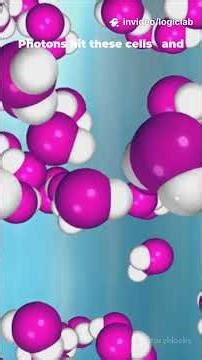 How Eyes Work Vision Explained! #eyesight #howthingswork #humanscience #visionfacts #shorts