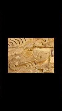 Found 8mm Film Reveals Aztec Ruins in Old Mexico