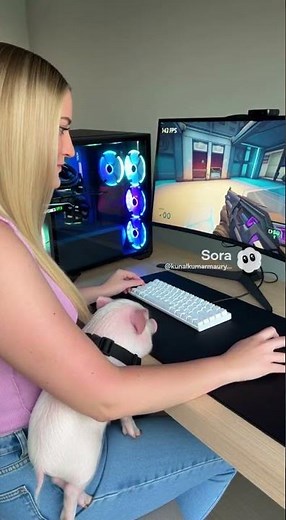 CyberPowerPC Gaming Desktop Review | AMD Ryzen 7 9800X3D RTX 5070 (12GB) | Full Review Buying Guide