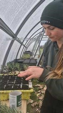 How to take cuttings 🌿