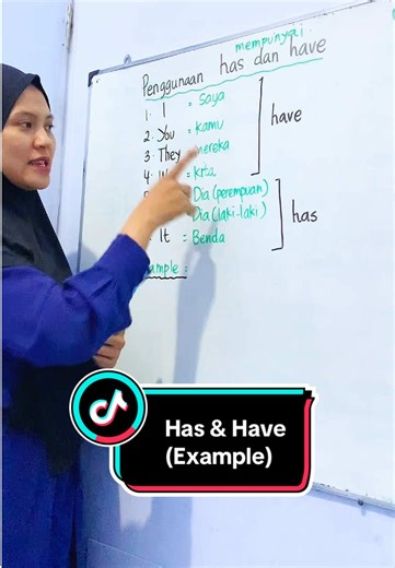 Understanding 'Has' and 'Have' with Examples