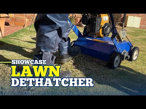 Lawn Scarifier - Dethatching Demonstration | Master Hire