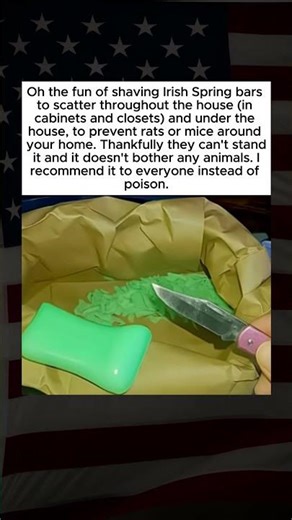 Simple Soap Trick to Keep Mice Away