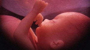 L'odyssée de la vie de Nils Tavernier