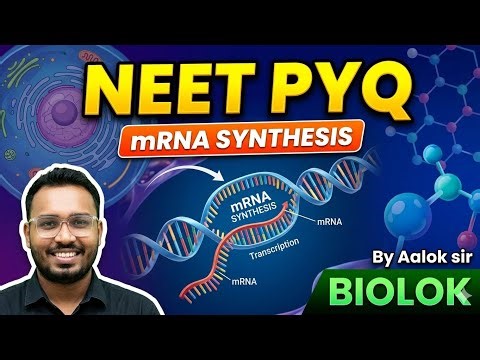 Transcription.... Coding strand, template strand, m-Rna synthesis pyq solution