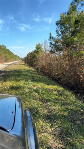 Running Through the Woods: Embracing Fall Adventures