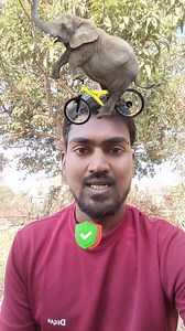 Elephant 🐘 puzzle 🧩#elephant #reels #puzzle | Prakash Kumar Prajapati