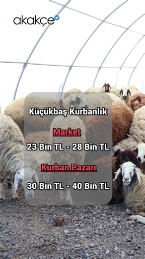Kurbanlık Fiyatlarında Market ve Pazar Fark Ediyor mu?