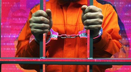 The curious case of the hacking twins accused of erasing US government databases