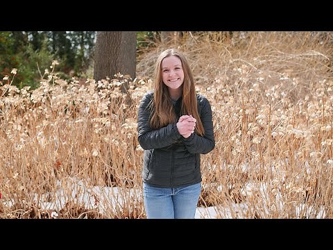 How to Identify Hydrangeas in the Winter