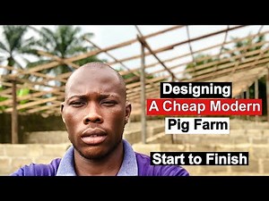 Designing A Cheap Modern Pig Farm
