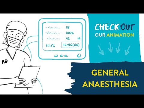 General Anaesthesia for Dogs and Cats