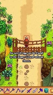 Leo's Loved Gifts | how to get leo to move to pelican town part 3