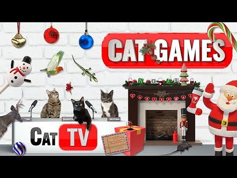 🎄 Christmas Cat Wonderland: 4-Hours of Cat Games | Ultimate Christmas Cat TV Compilation 🎁