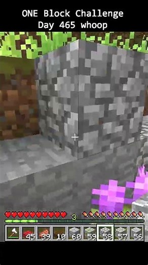 Day 465 Minecraft build challenge - ONE BLOCKS BUILD