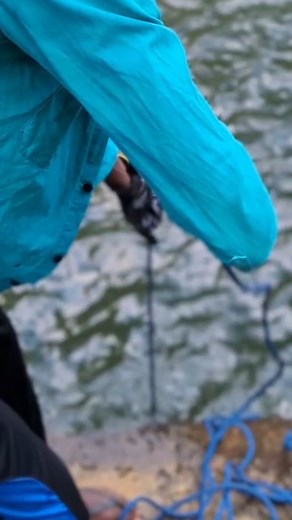 🧲 We went out magnet fishing — and what we pulled up was pure treasure! 💰 From old metal to mysterious relics, this was one of the most exciting magnet fishing adventures we’ve had yet. Every throw of the magnet brought up something new, but the final find completely blew our minds! 😱 ⚙️ Gear Used: 1000lb neodymium magnet, heavy-duty rope, gloves 💬 What’s the coolest thing you’ve ever found while magnet fishing? Let us know in the comments! 🔔 Subscribe for more magnet fishing treasure hunts