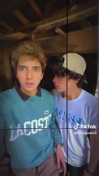 Dogs Enjoying Tacos: A Funny and Delightful Video