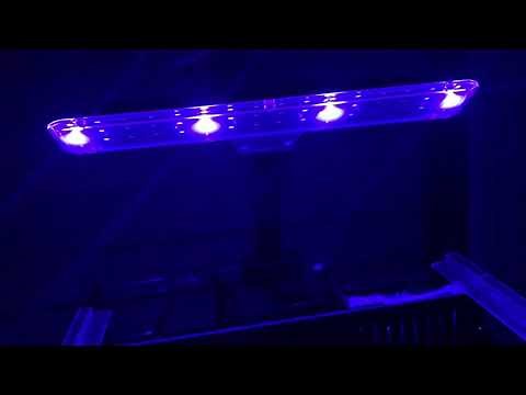 Imagitarium deluxe freshwater aquarium review