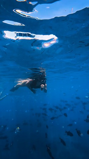 Life worth exploring  Did you know? Green sea turtles can hold...