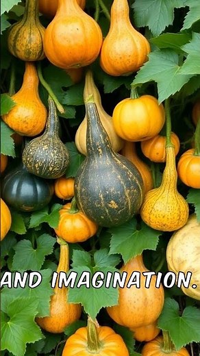 Master Gourd and Squash Growing in Your Backyard