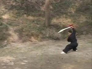 Chen ZiQiang Taiji Double Broadswords 42 Postures Routine