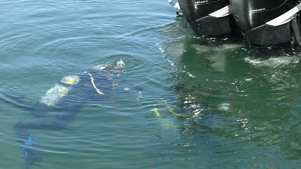 FSU Panama City students investigate simulated underwater crime scene