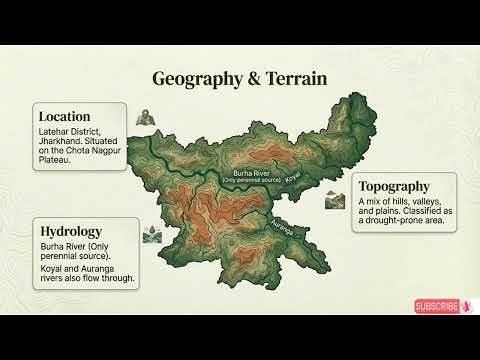 Vanjeevi Didi: The Women Protecting Palamu Tiger Reserve 🐯🌿 | #tothepoint