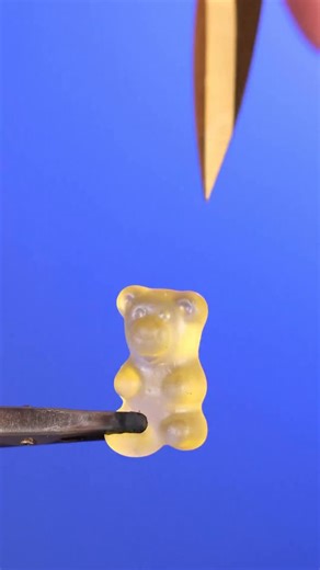 2.7M views · 22K reactions | Gummy bear vs. Scissors (ASMR close up / macro) #closeup #macrovideo #macro #slowmo #slowmotion #diy #fastmotion #macrobeauty #satisfying #satisfyingvideo #satisfyingasmr #asmrvideo #asmrsounds #closebluemonkey #object #zoom | Close Blue Monkey | Facebook