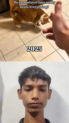 they used to play together... Now One please alone(2025-2026) #dog #sad #algorithm