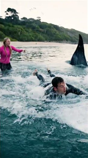 Paddleboard Rodeo Gone Wrong #shark