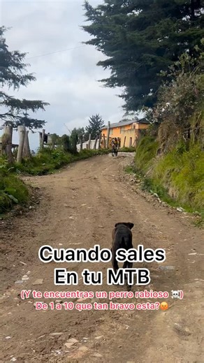 😑 | Bike Lab Studio