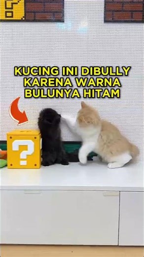 This Cat Is Often Bullied Because of Its Black Fur ⚫🐱 #shorts #cat