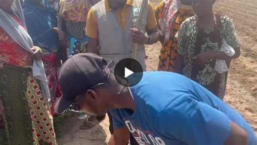 #biocircularity #organicfarming #biocirculareconomy #biowasterecycling #eggshellpowder #organicfertilizer #smallholderfarmers #ruralfarmers #youthfarmers #womenfarmers #organicfarming… | Abdul Salam Saani