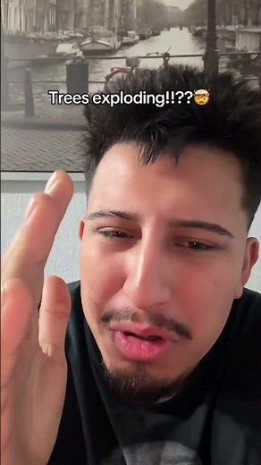 Help #trees #exploding #texas #cold #snowstorm