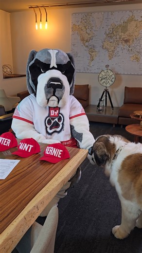 Meet D'Youville's newest recruit! His name has been chosen ⤵️ | D'Youville University