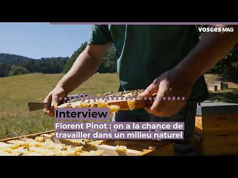 Apiculteur : c'est quoi ton métier ?