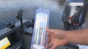 37 reactions · 15 shares | It's that time again. The ScentFlash™ UV Paddle Flasher is a cheat code for salmon fishing. Get yours at MacksLure.com or your bait & tackle shop. #MacksLure | bit.ly/ScentFlasher | Mack's Lure | Facebook