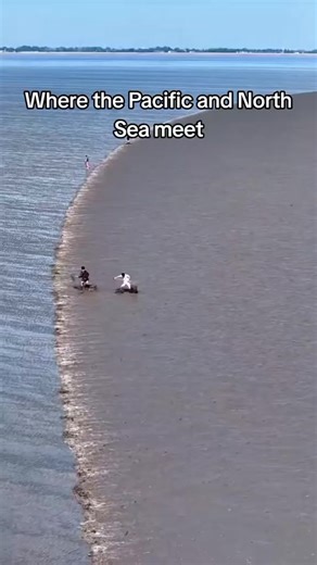 7340207146723839238