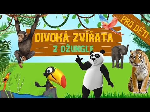 Divoká zvířata pro děti 🐒🐊 | zvířátka z džungle | zvuky zvířat