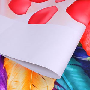 [Hot Item] Printable Polyester Inkjet Canvas White Inkjet Canvas for Giclee Printing