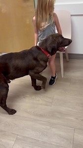 1.1K views · 1K reactions | Dooley is at Dogwood Veterinary Emergency...