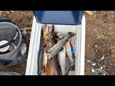Bear River Reservoir-Laid Back Camping and Fishing