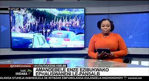 Amasokana amatjha wakwaMkhonto | SABC Ziindaba