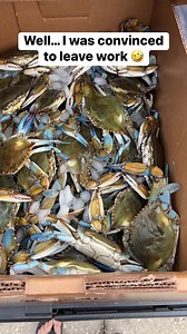 DecoExchange on Reels