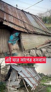 3.6M views · 112K reactions | দুই বছর হচ্ছে মেয়ে-মেয়ের জামাই ও নাতিকে...