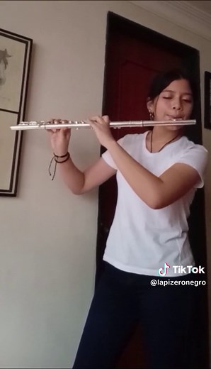 Nocturne in C Sharp Minor on Flute and Piano