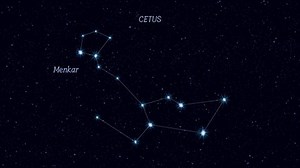 Cetus Whale Constellation Gradually Zooming Rotating 스톡 동영상 비디오(100% 로열티 프리) 1043267221 | Shutterstock