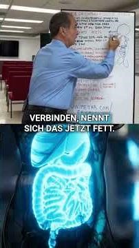 Warum du nicht abnimmst: Wenn Insulin und Zucker gleichzeitig steigen