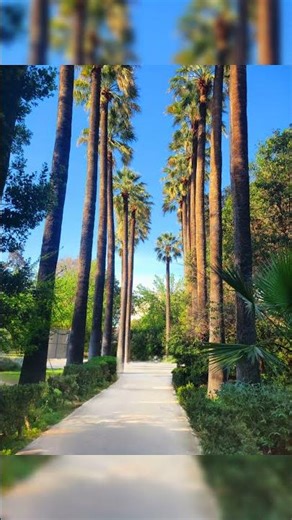 Inside the National Gardens in Athens, Greece